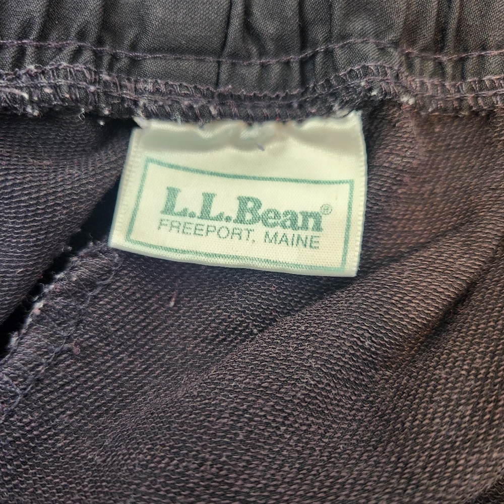 L.L. Bean Hiking Outdoor Pants - Picture 4 of 11